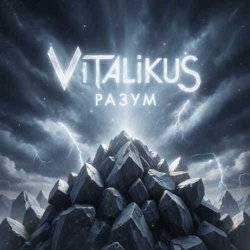 Мұқаба ViTaLiKuS - Разум
