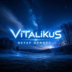 Мұқаба ViTaLiKuS - Ветер принёс...