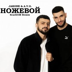 Мұқаба A.V.G & TATAR - Ножевой