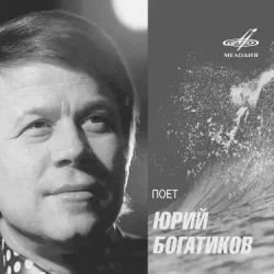 Мұқаба Юрий Богатиков - Лизавета