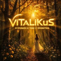 Мұқаба ViTaLiKuS - Я пришёл к тебе с приветом