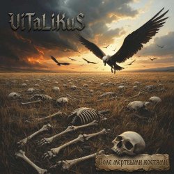 Мұқаба ViTaLiKuS - Поле мёртвыми костями