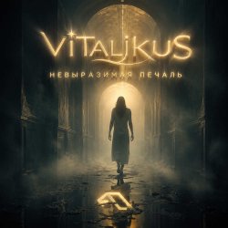 Мұқаба ViTaLiKuS - Невыразимая печаль