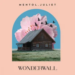 Мұқаба Mentol & Juliet - Wonderwall