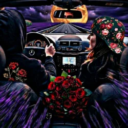Мұқаба ZVUCAR - До Світанку