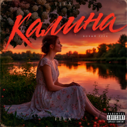 Мұқаба Калина