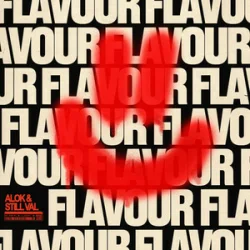 Мұқаба Alok & Still Val - Flavour