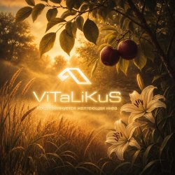 Мұқаба ViTaLiKuS - Когда волнуется желтеющая нива