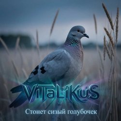 Мұқаба ViTaLiKuS - Стонет сизый голубочек