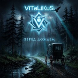 Мұқаба ViTaLiKuS - Перед дождём
