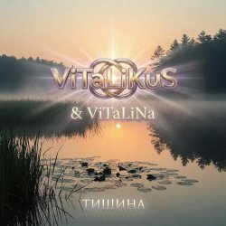 Мұқаба ViTaLiKuS - Тишина