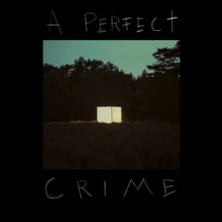 Мұқаба Kovacs - A Perfect Crime