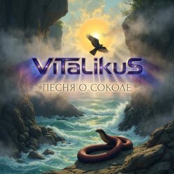 Мұқаба ViTaLiKuS - Песня о Соколе