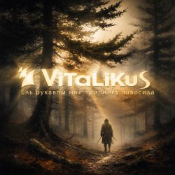Мұқаба ViTaLiKuS - Ель рукавом мне тропинку завесила…