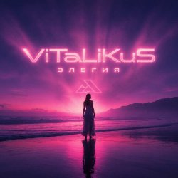 Мұқаба ViTaLiKuS - Элегия