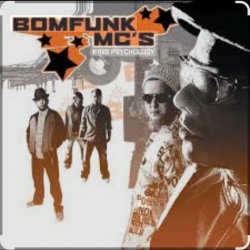 Мұқаба Bomfunk MC's - Foxy Lady
