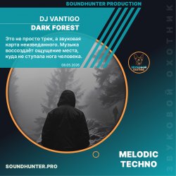 Мұқаба DJ VANTIGO - Dark Forest