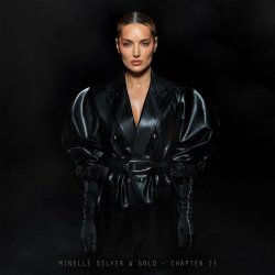 Мұқаба Minelli - Silver & Gold