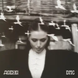 Мұқаба Даена - DMG