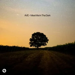Мұқаба AVE - Meet Me In The Dark