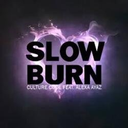 Мұқаба NEIMXX - Slow Burn