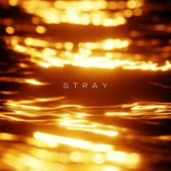 Мұқаба R3DN1K - Stray
