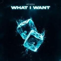 Мұқаба Ad Voca - What I Want