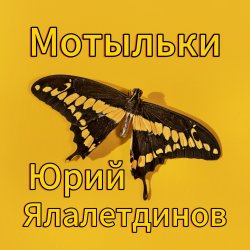 Мұқаба Юрий Ялалетдинов - Мотыльки