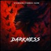 Мұқаба STXRSHOV & Daria Kupr - Darkness STXRSHOV & Daria Kupr - Darkness
