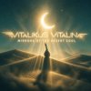 Мұқаба ViTaLiKuS - Mirrors of the Desert Soul ViTaLiKuS - Mirrors of the Desert Soul