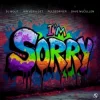 Мұқаба DJ Wout x Jan Vervloet x Pulsedriver - I'm Sorry (Extended Mix) DJ Wout x Jan Vervloet x Pulsedriver - I'm Sorry (Extended Mix)