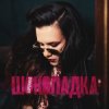 Мұқаба БОРОНИНА - Шоколадка БОРОНИНА - Шоколадка