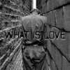 Мұқаба der Flaum - What is love der Flaum - What is love