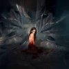 Мұқаба Noémi Büchi - The cryptic precision Noémi Büchi - The cryptic precision