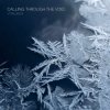 Мұқаба ViTaLiKuS - Calling Through the Void ViTaLiKuS - Calling Through the Void