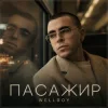 Мұқаба Wellboy - Пасажир Wellboy - Пасажир