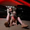 Мұқаба Lady XO - BEAT THE ODDS Lady XO - BEAT THE ODDS