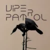 Мұқаба Viper Patrol - What Is (Original Mix) Viper Patrol - What Is (Original Mix)