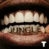 Мұқаба TroyBoi & Shiwa - Jungle TroyBoi & Shiwa - Jungle