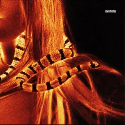 Мұқаба VERONIKA - Вколола