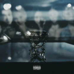 Мұқаба VVS - BOTTLE$
