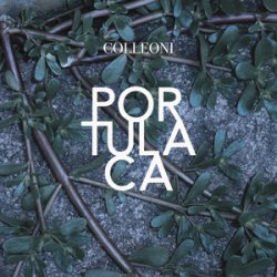 Мұқаба Colleoni - Sinonimi E Contrari