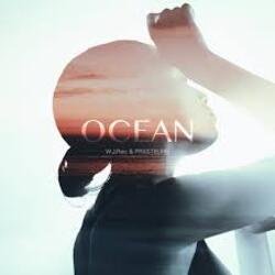 Мұқаба W.J.Rec, FRXSTBURN - Ocean