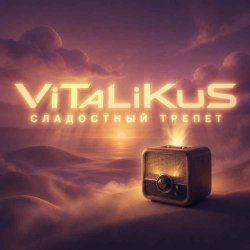 Мұқаба ViTaLiKuS - Сладостный трепет
