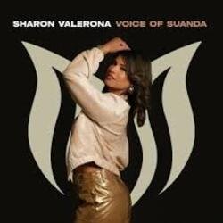 Мұқаба Aurosonic & Sharon Valerona - Horizon (Extended Mix)
