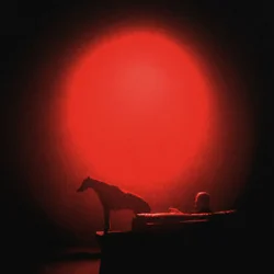 Мұқаба Grubson - HUSKY I CHART