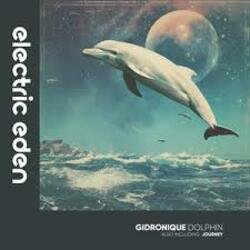 Мұқаба Gidronique - Dolphin