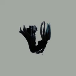 Мұқаба Rain Paris - Don't Blame The Demons