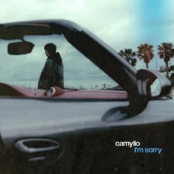 Мұқаба Camylio - i'm sorry (Dj Vianu Remix)