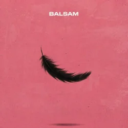 Мұқаба Balsam - Я, падаю в тебе Мʼяко
